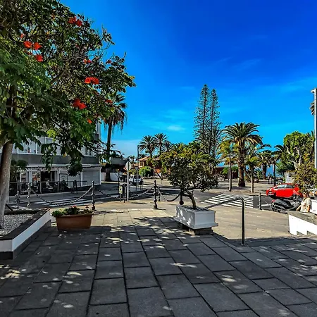 Estudio Con Vistas Ciudad *