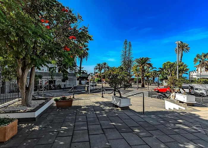 Estudio Con Vistas Ciudad *